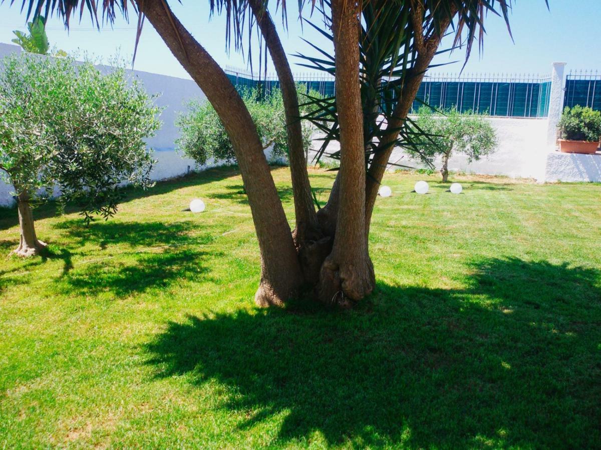 B&B Zagara Marsala Kültér fotó